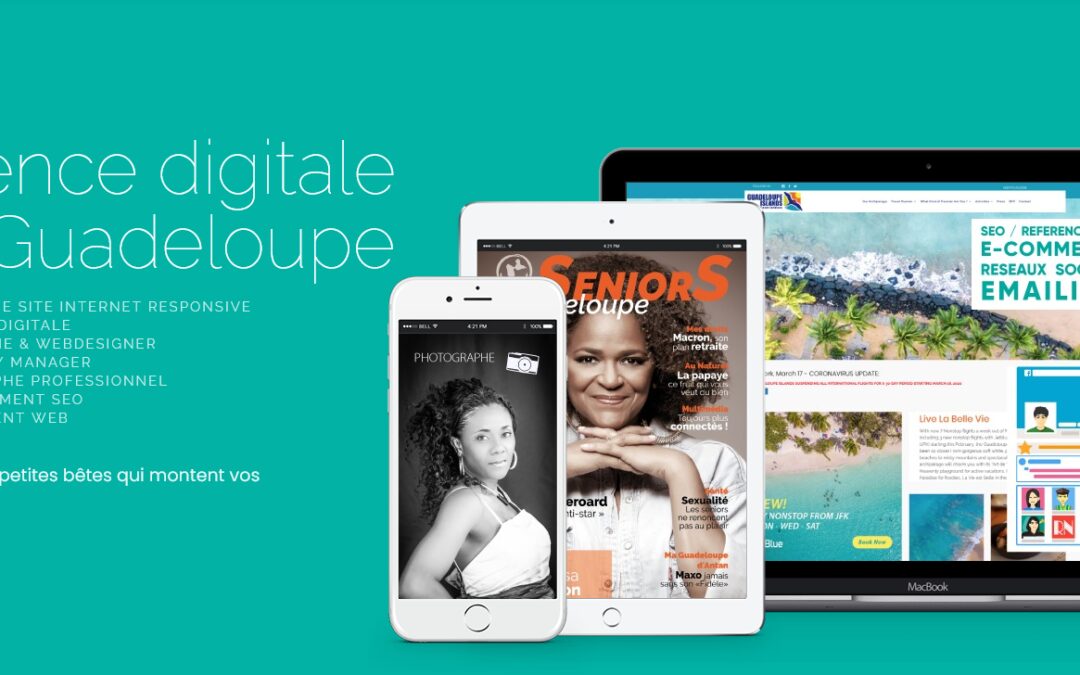 Agence digitale en Guadeloupe : Création de site internet et référencement SEO